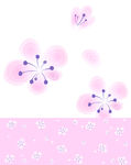 花纹