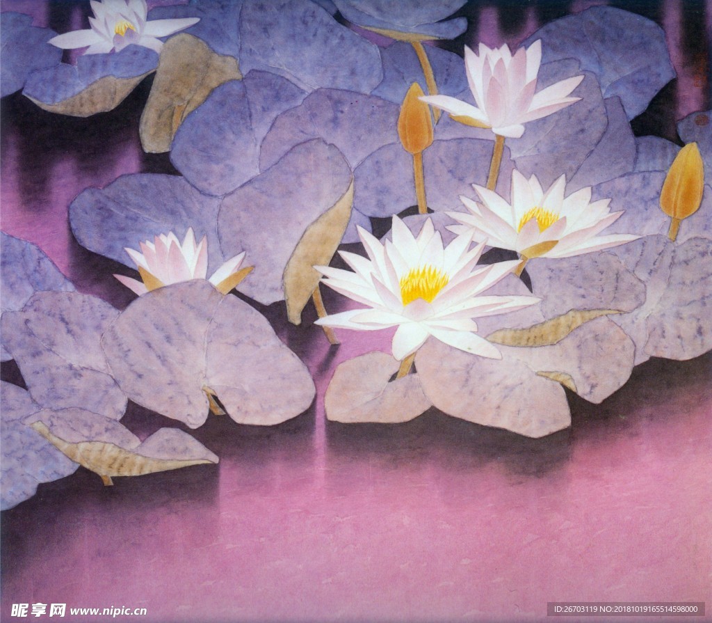 荷花
