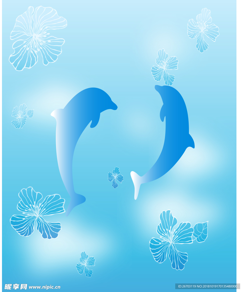 海豚