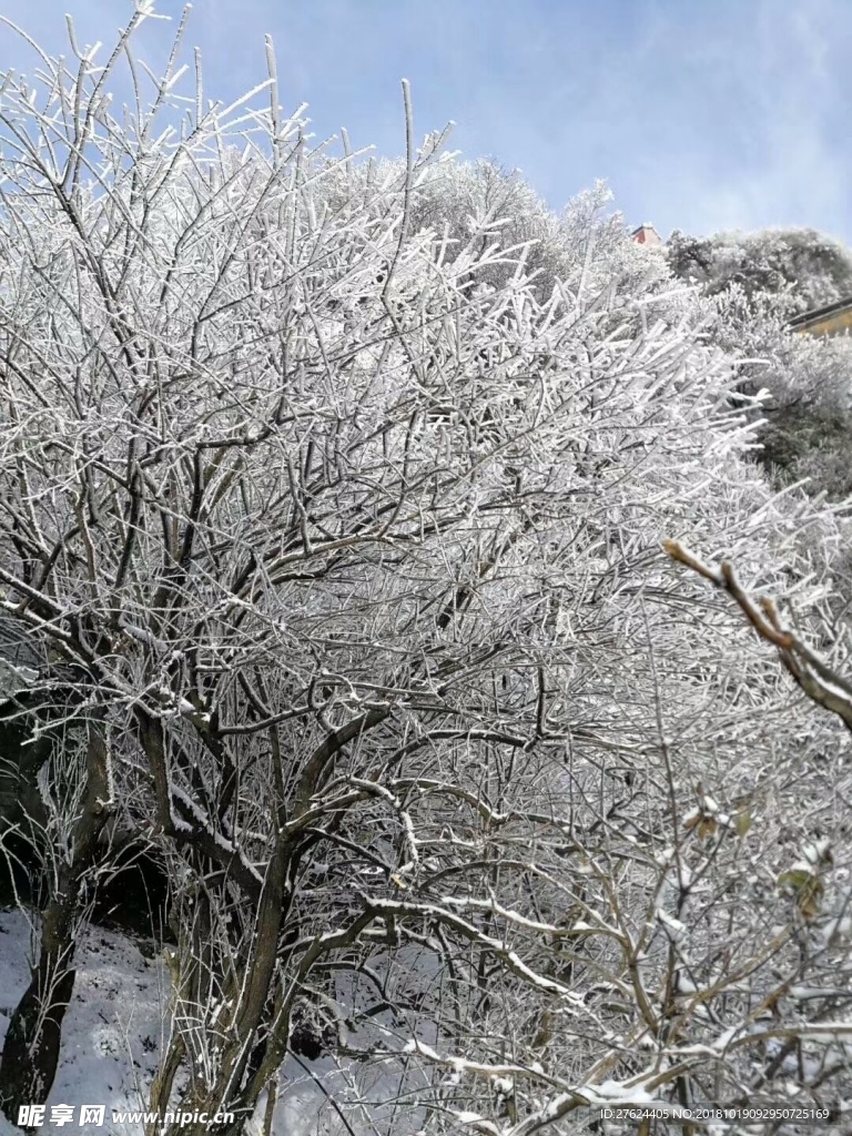 武当山 冬日雪景