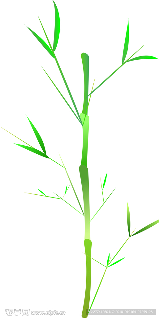 竹子
