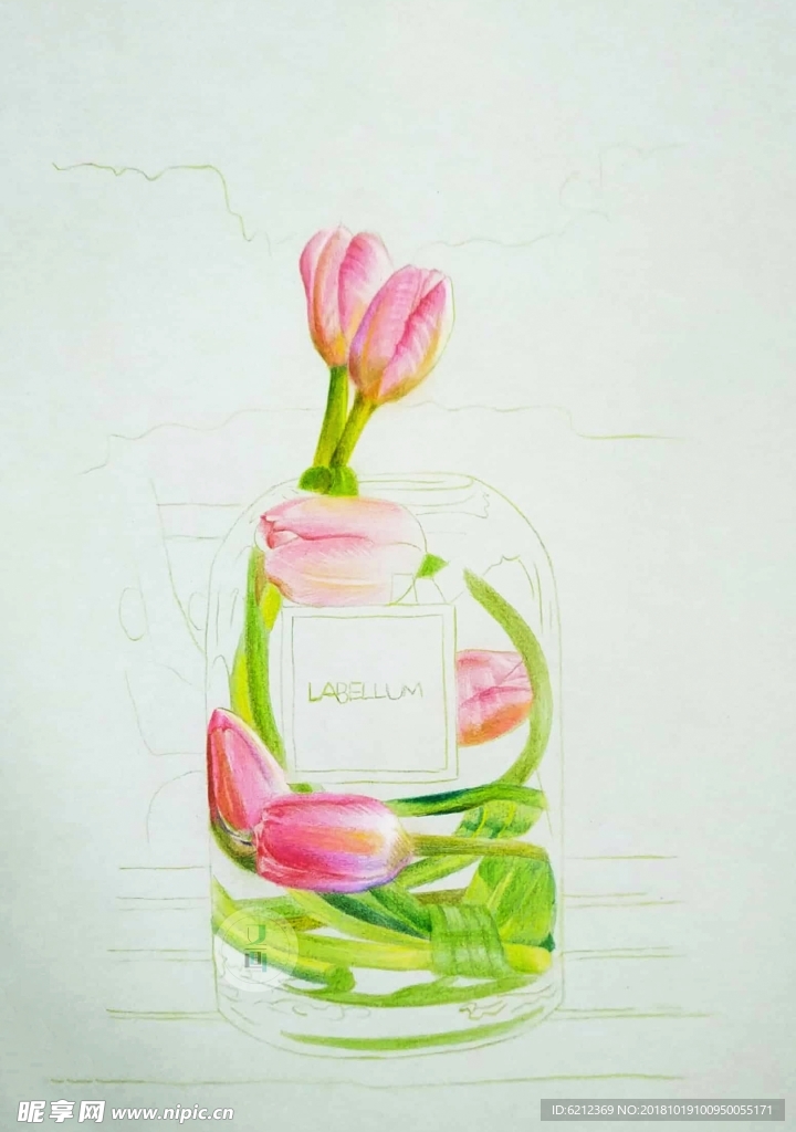 彩铅写实绘画-郁金香玻璃瓶