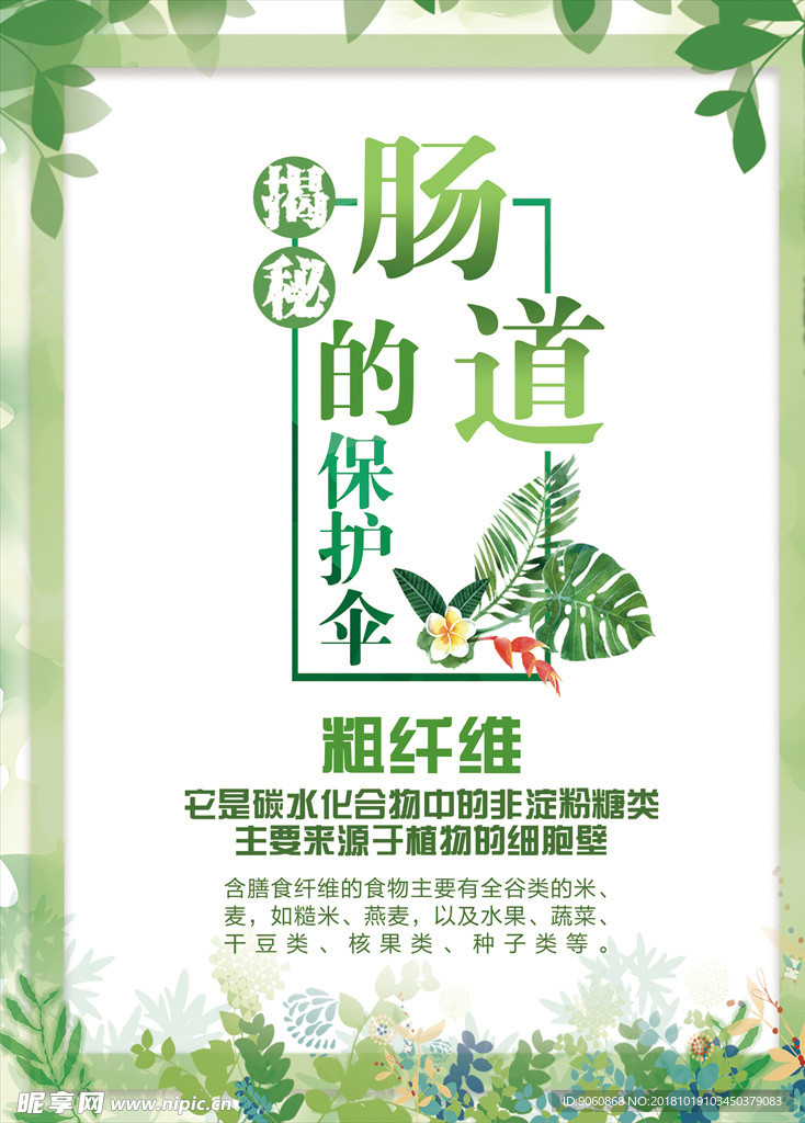 肠道的保护伞