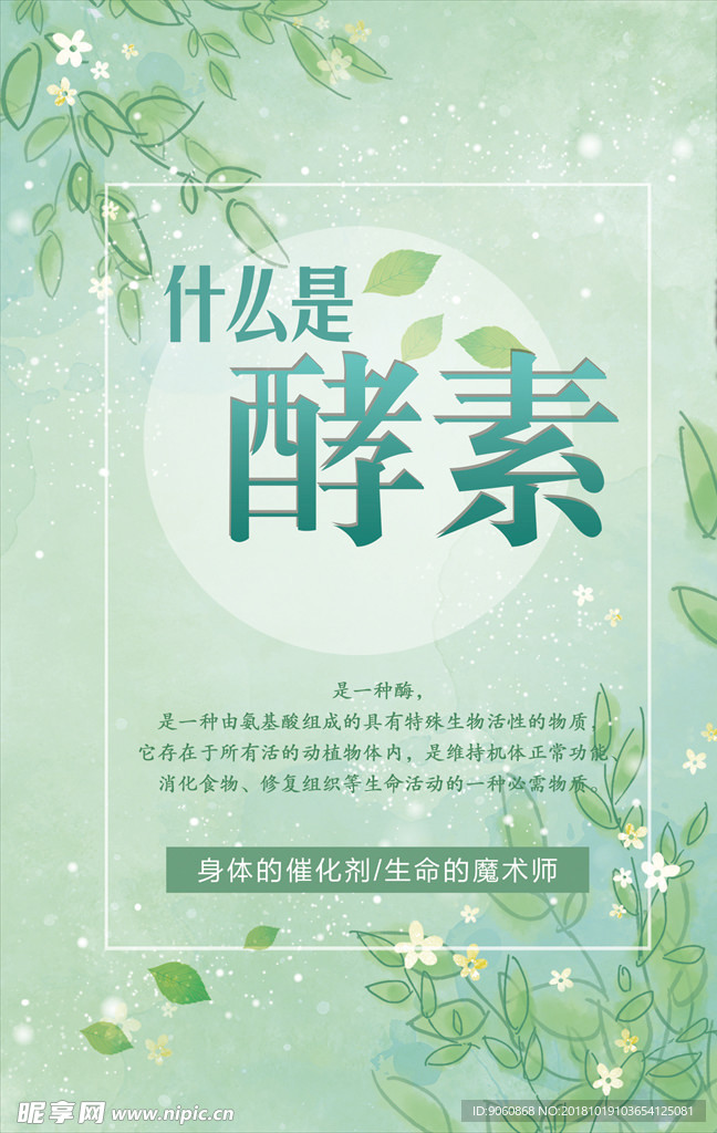什么是酵素