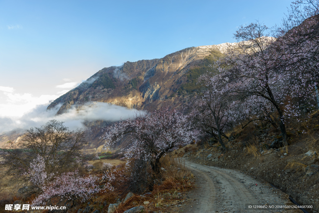 林芝美景