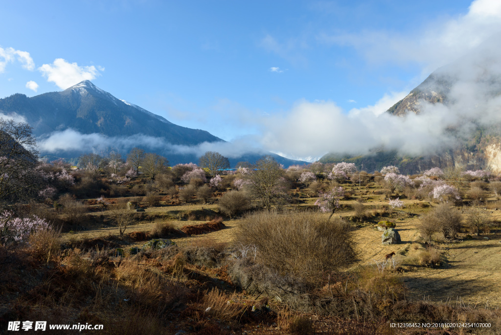 林芝美景