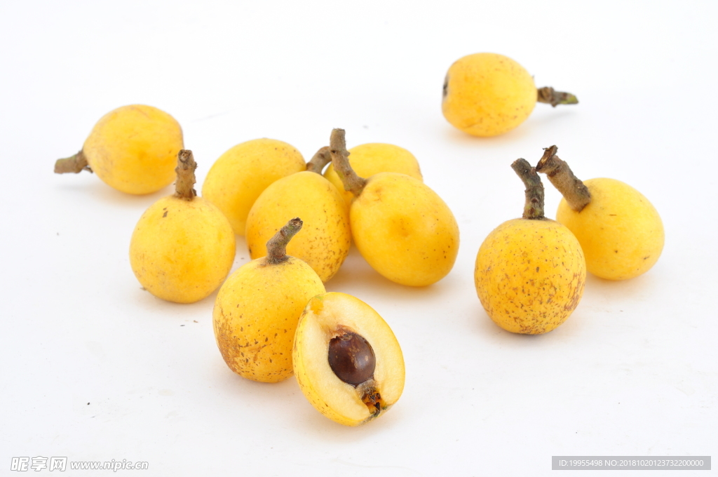 白玉枇杷 枇杷 芦橘 金丸 芦