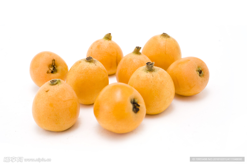 白玉枇杷 枇杷 芦橘 金丸 芦