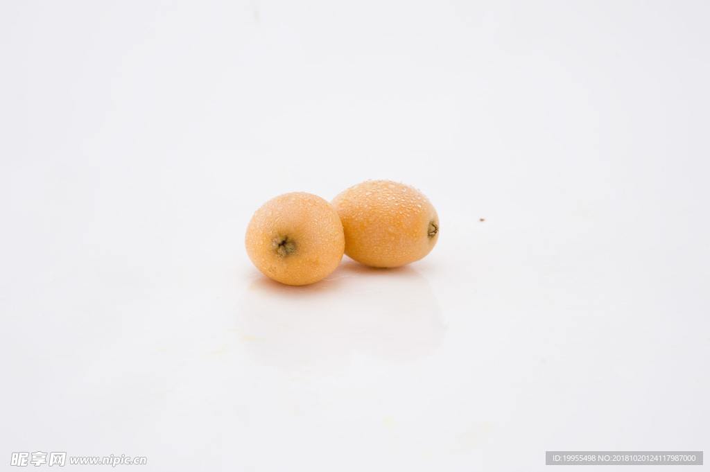 白玉枇杷 枇杷 芦橘 金丸 芦