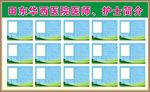 医师护士简介