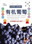 葡萄海报