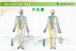 穴位
