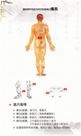 穴位