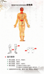 穴位