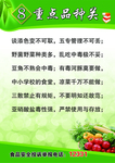 食品规则海报