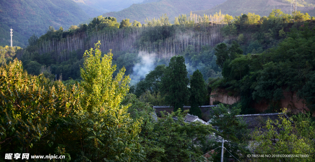 深山老林