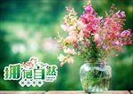 旅游海报 高清大图 摄影图 美