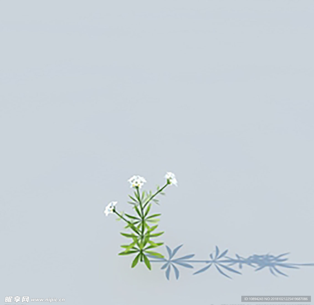 C4D植物模型