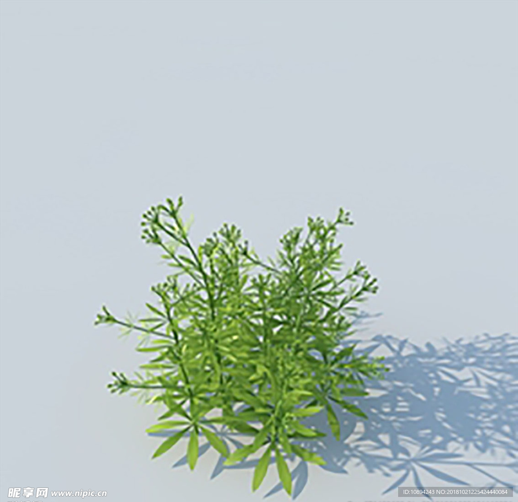 C4D植物模型