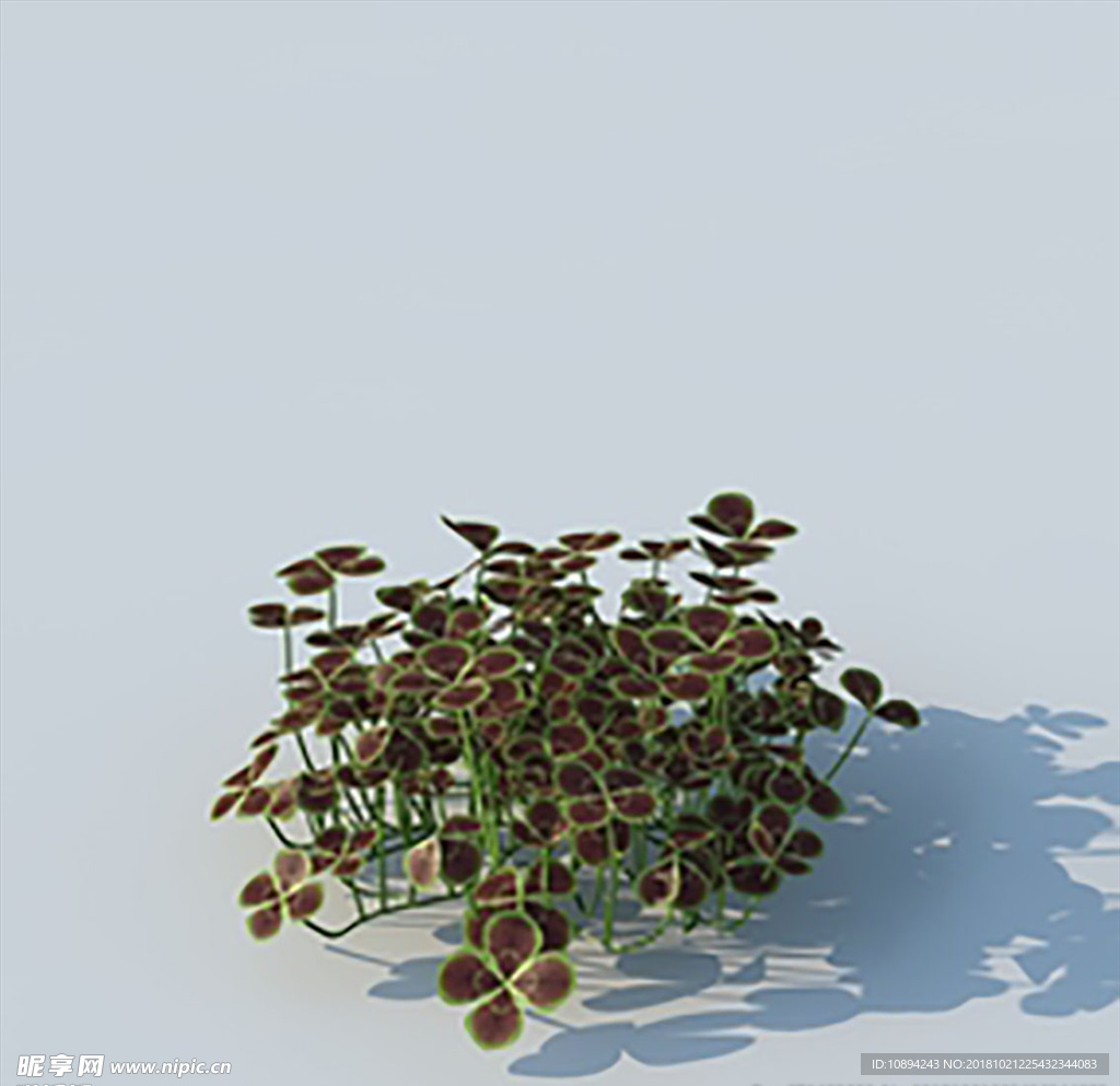 C4D植物模型