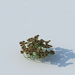 C4D植物模型