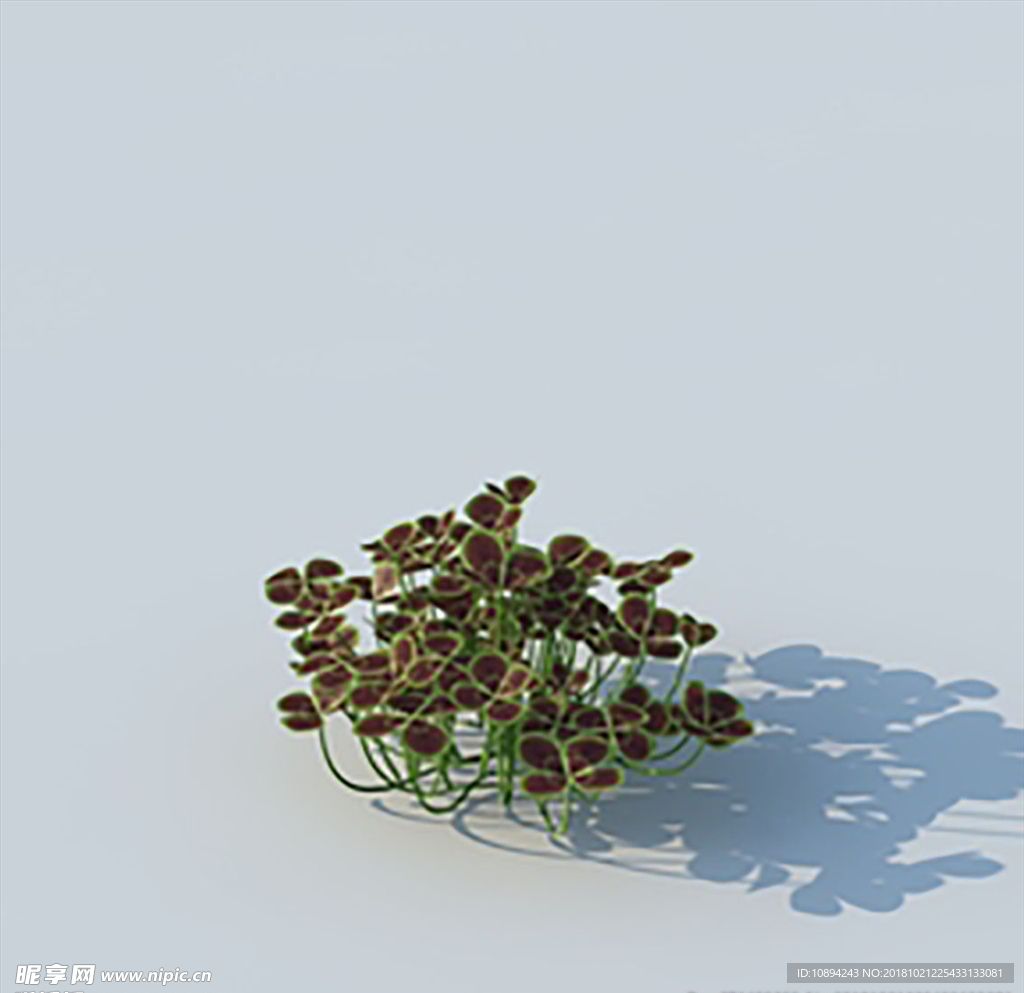 C4D植物模型