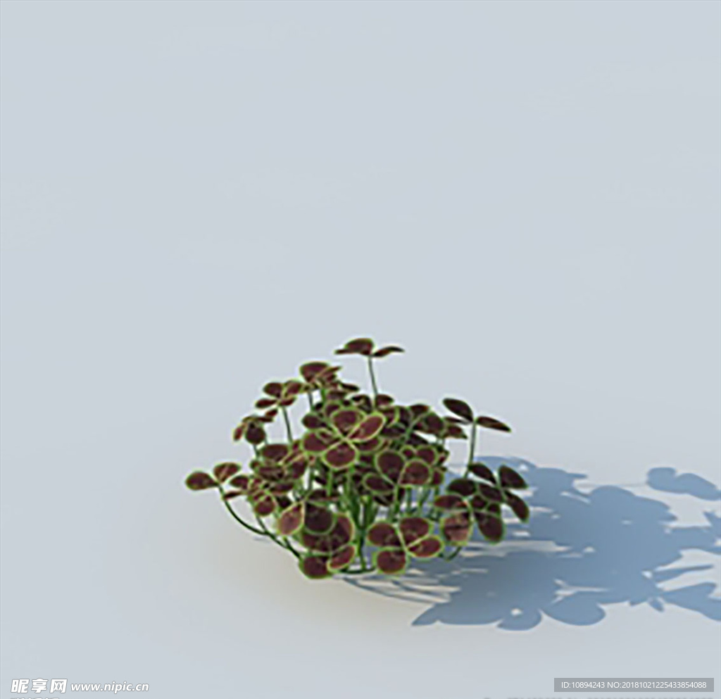 C4D植物模型