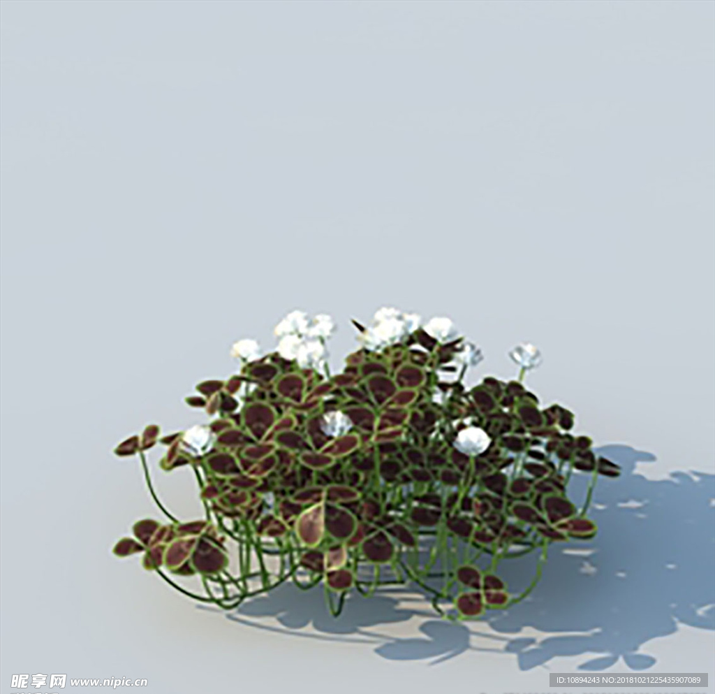 C4D植物模型