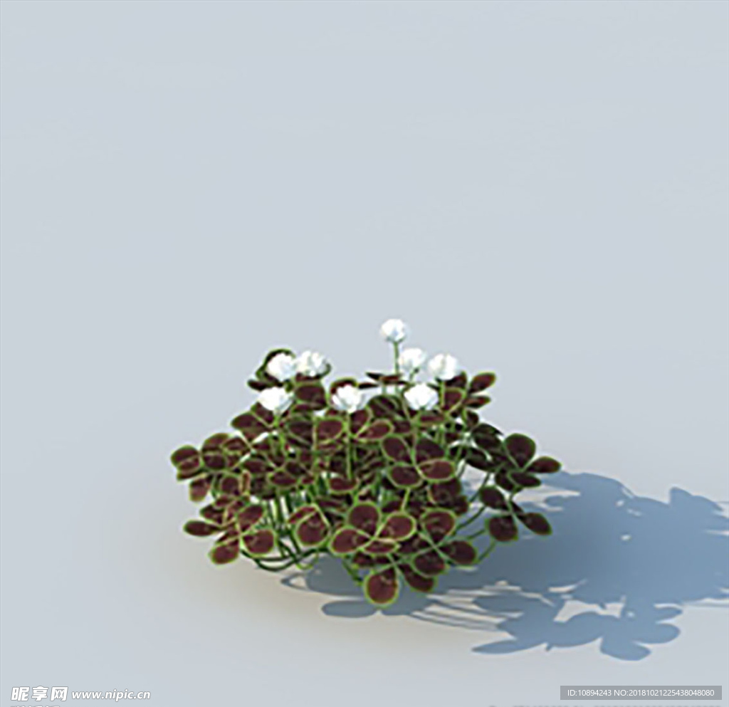 C4D植物模型