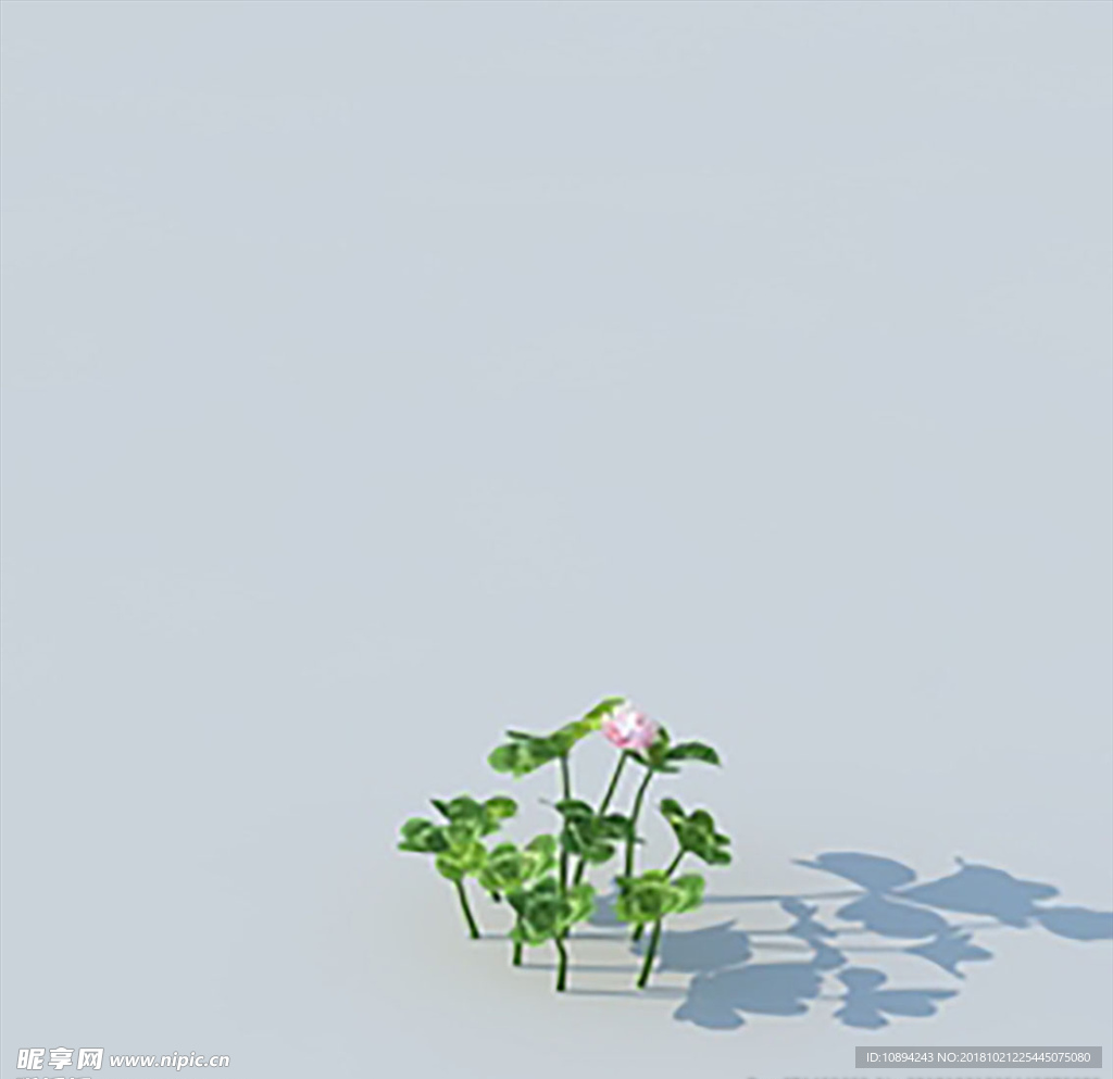 C4D植物模型