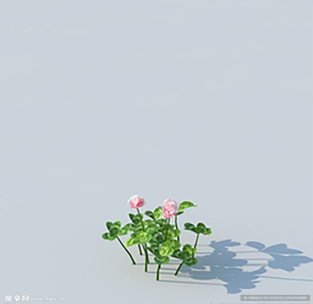 C4D植物模型