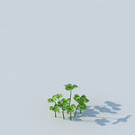 C4D植物模型