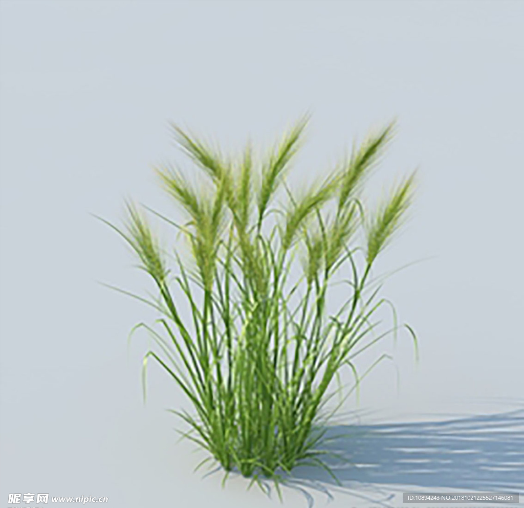 C4D植物模型