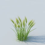 C4D植物模型