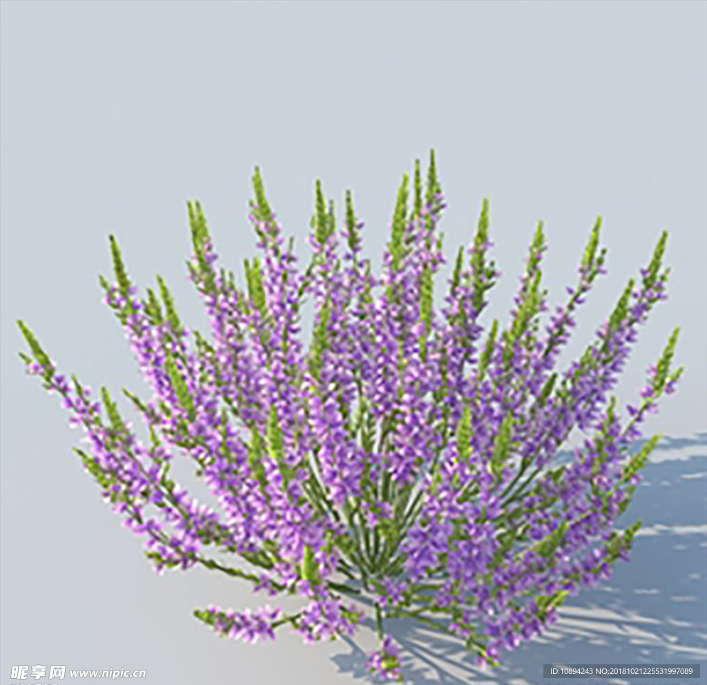 C4D植物模型