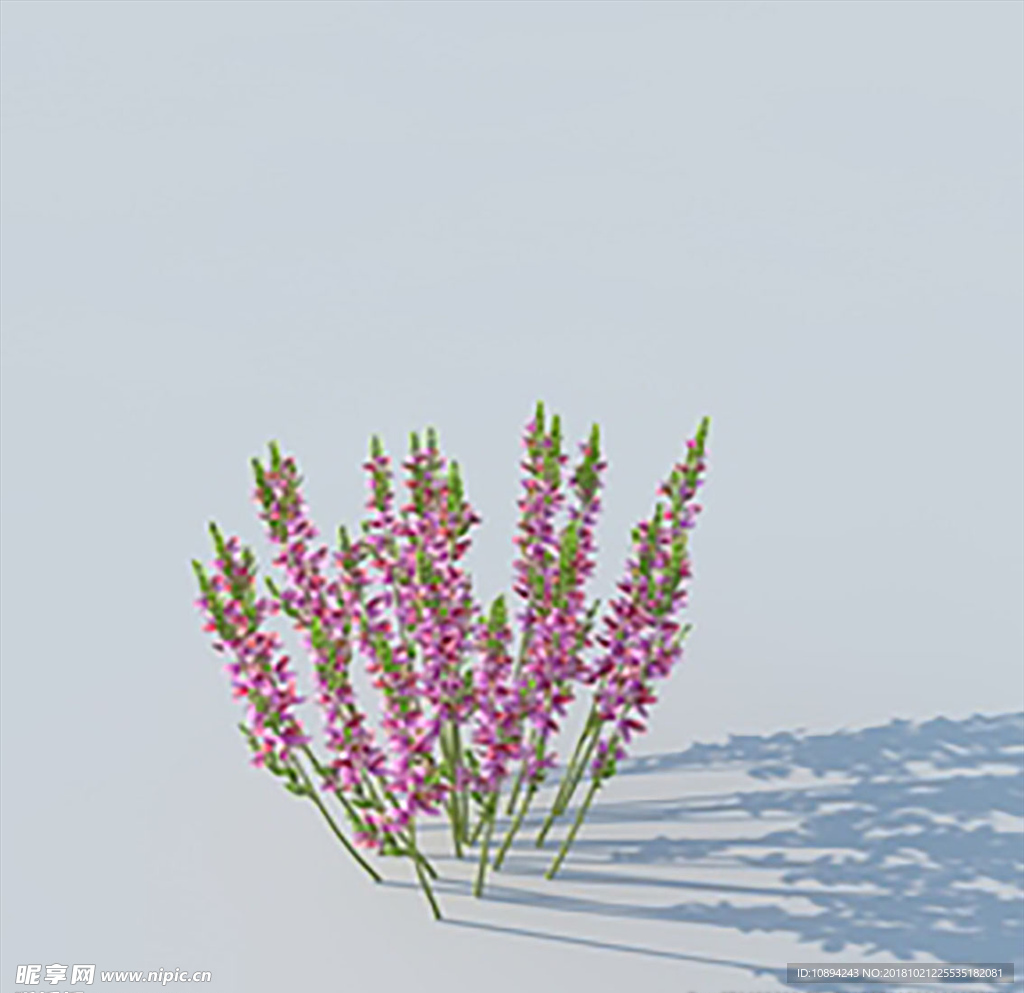 C4D植物模型