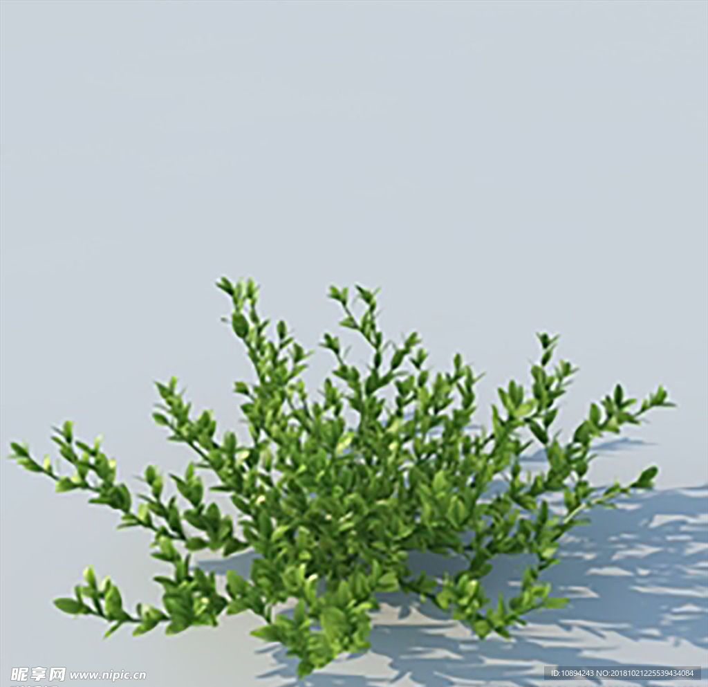 C4D植物模型