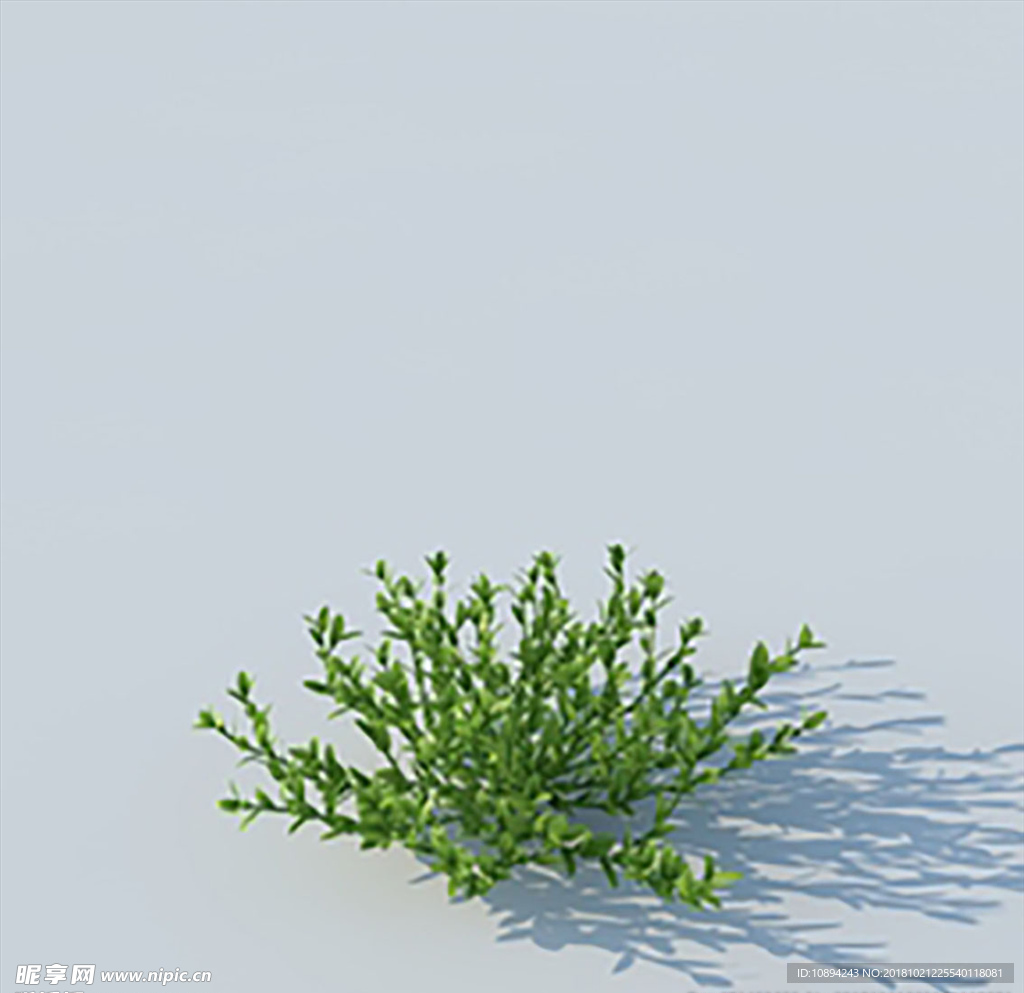 C4D植物模型