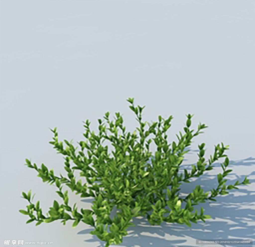 C4D植物模型