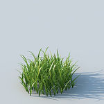 C4D植物模型