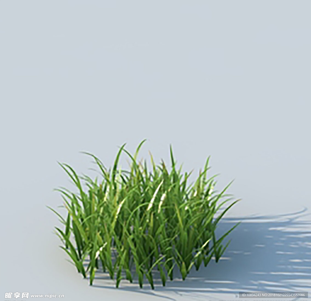 C4D植物模型