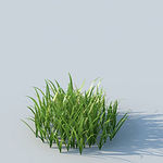 C4D植物模型