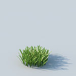 C4D植物模型