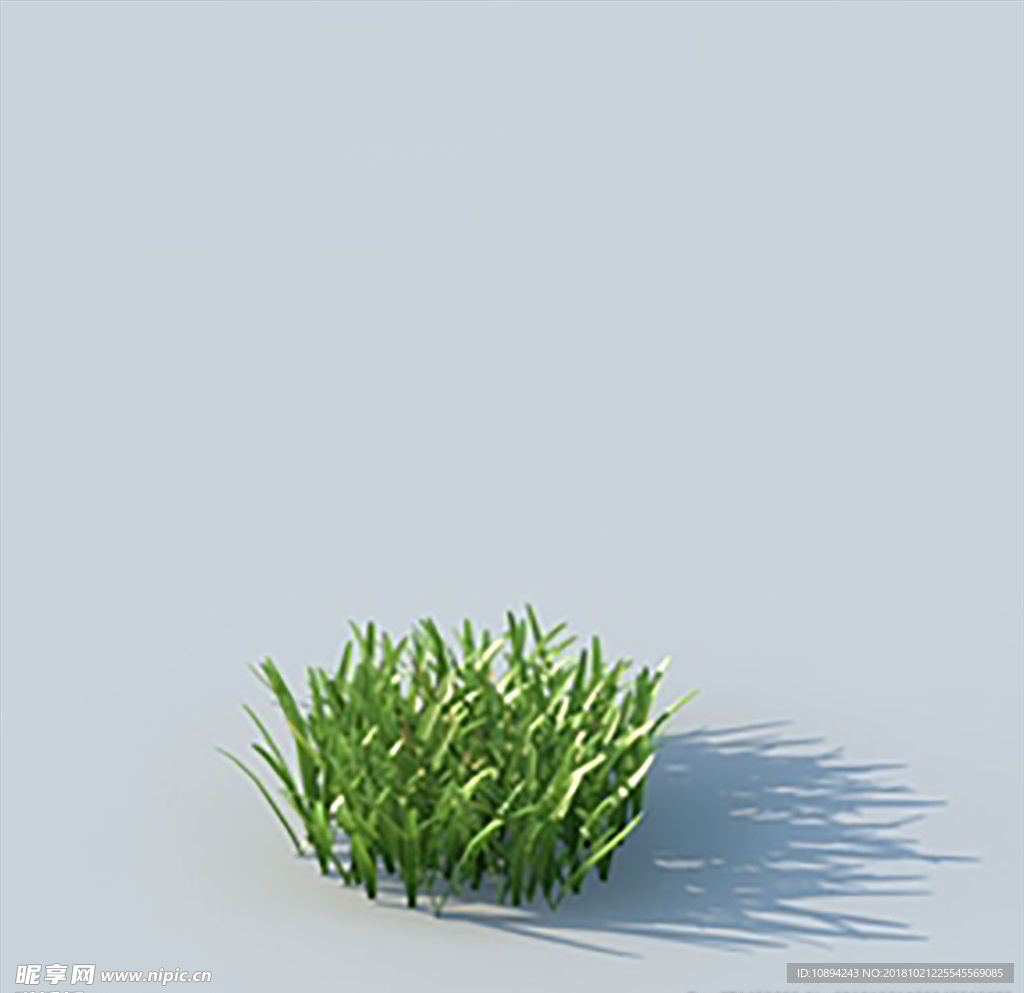 C4D植物模型