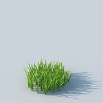C4D植物模型
