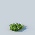 C4D植物模型