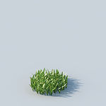 C4D植物模型