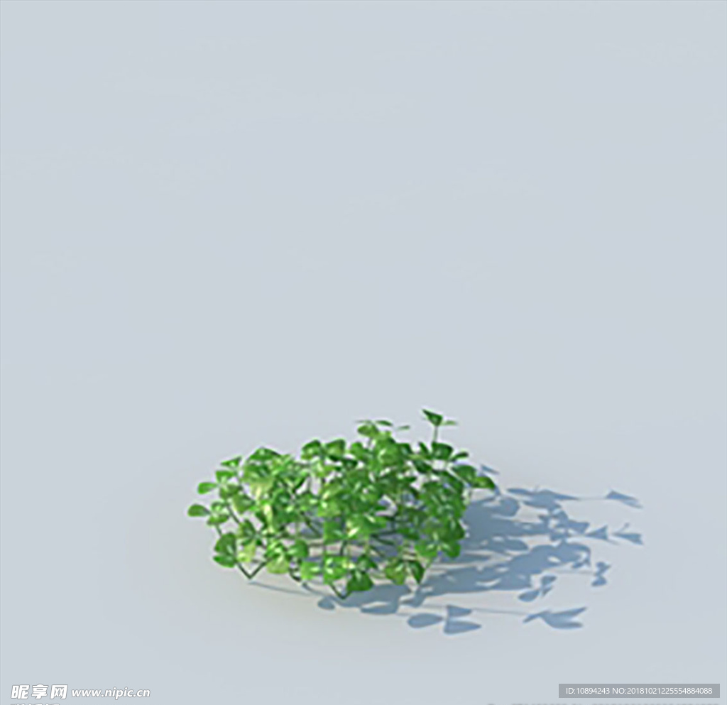 C4D植物模型