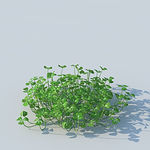 C4D植物模型