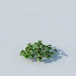 C4D植物模型